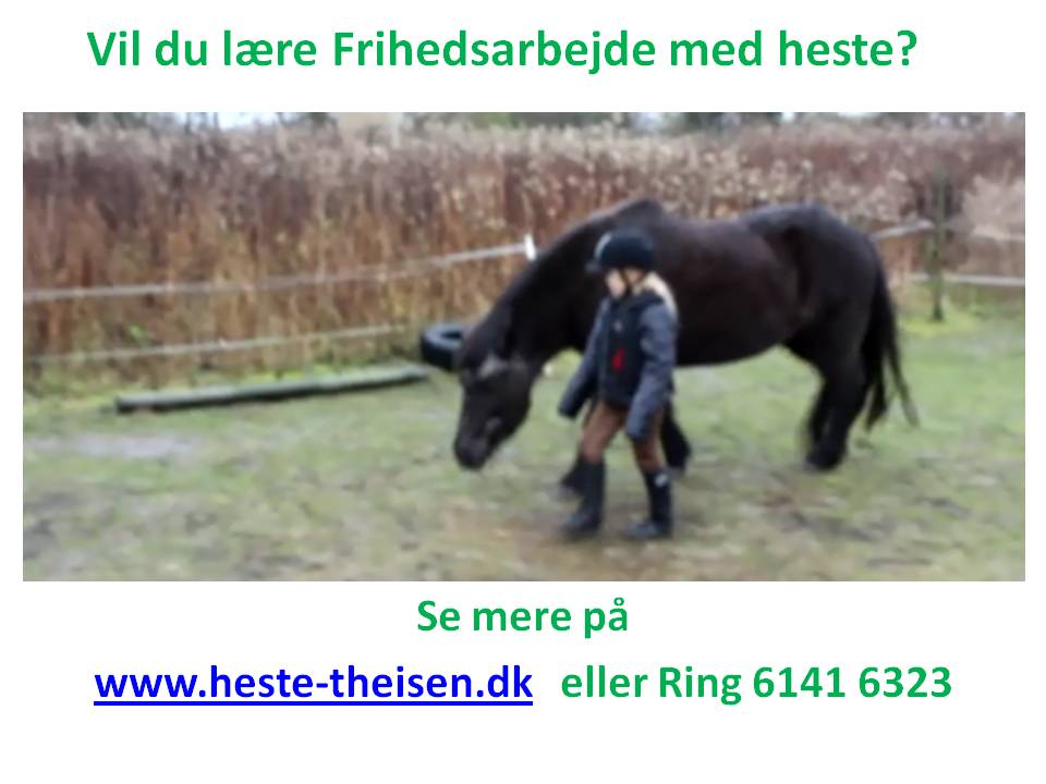 liberty hestemassage dragr